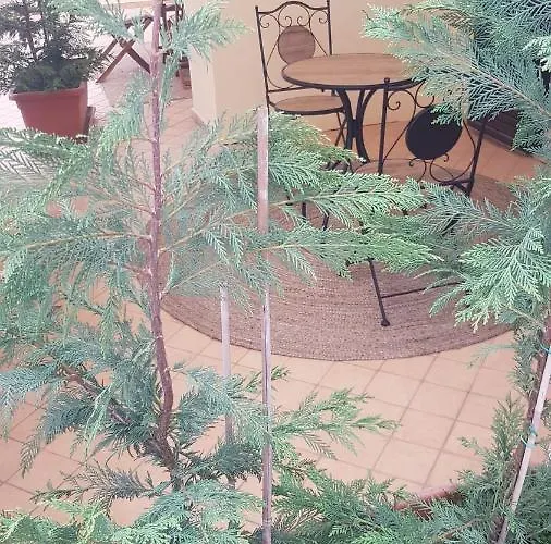 فندق مبيت وإفطار E Casa Al Castello 4*